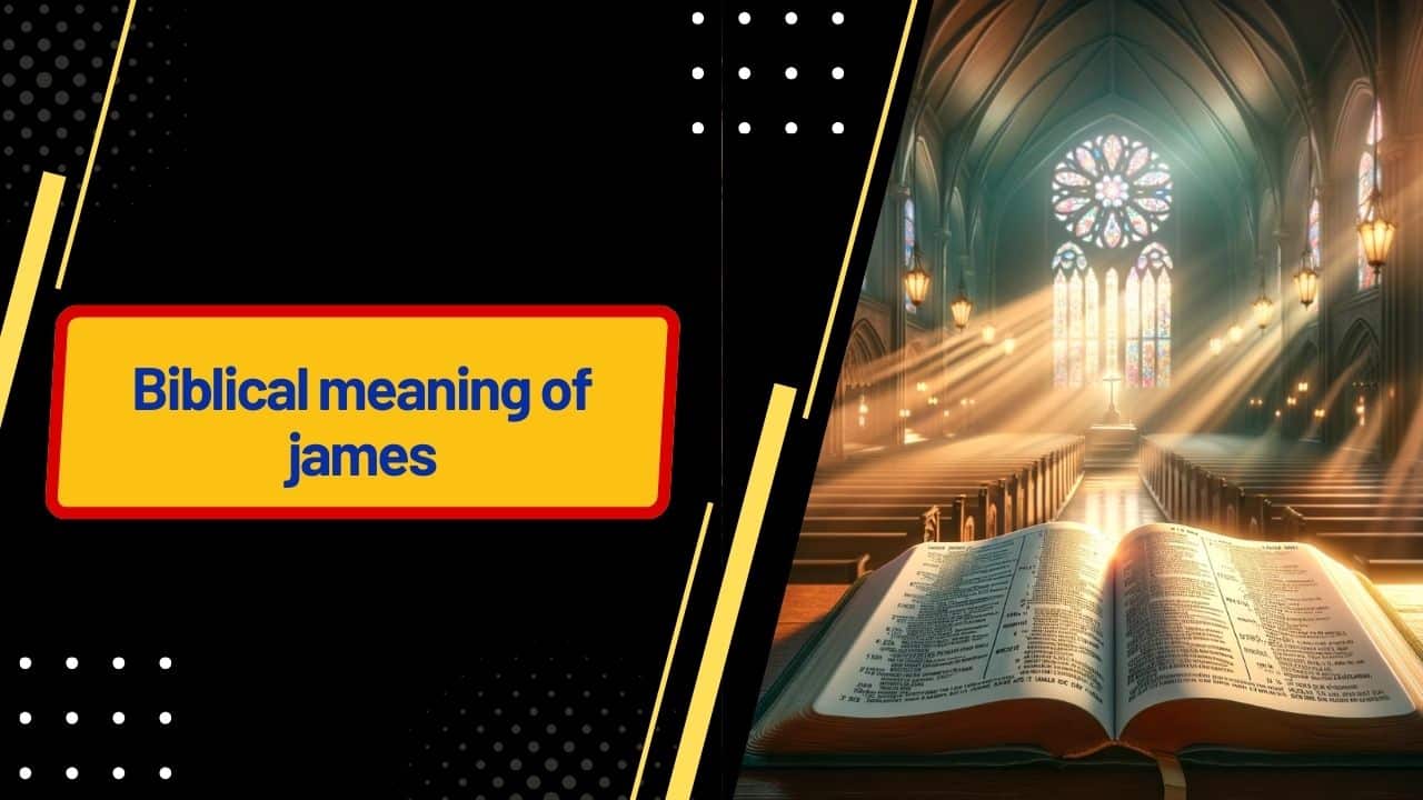 Biblical meaning of james