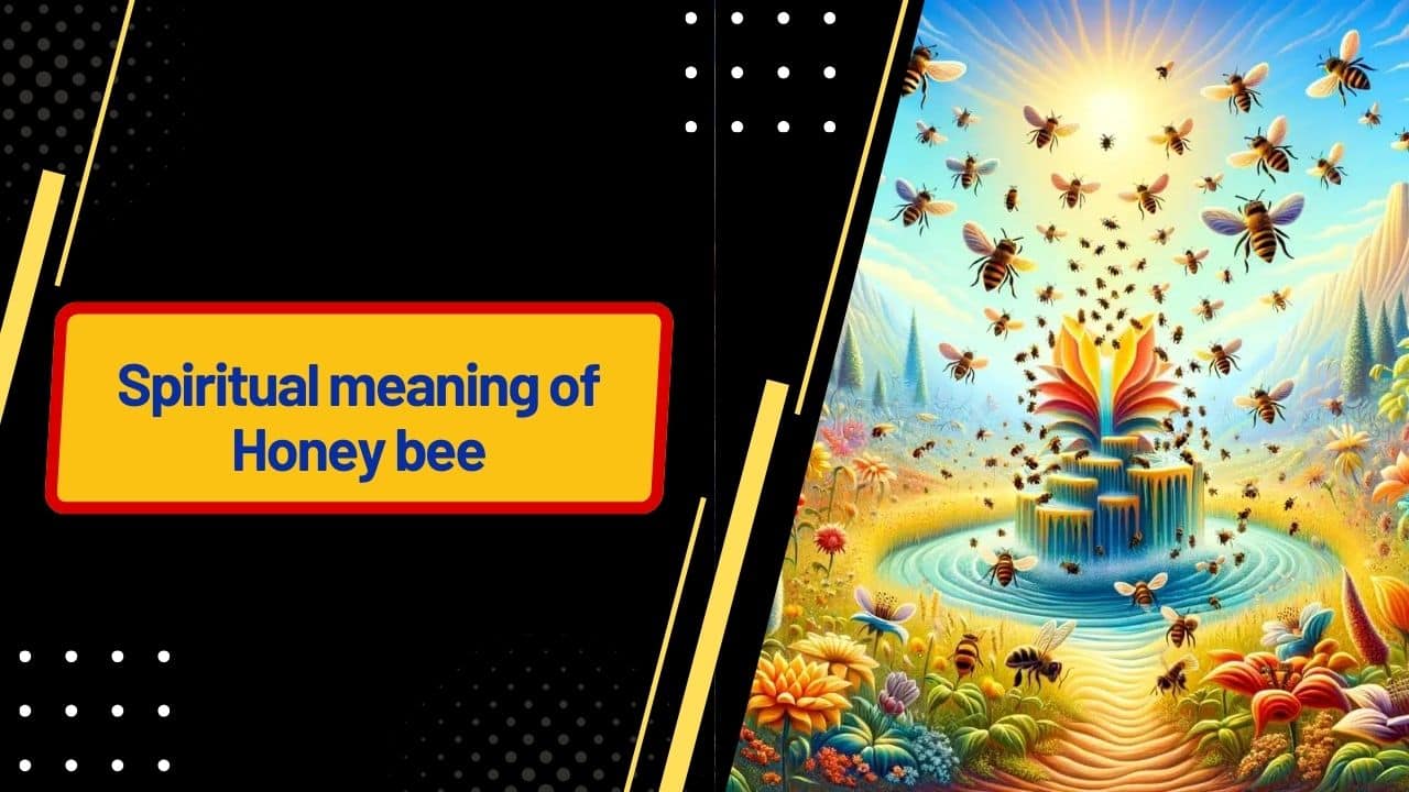 Spiritual meaning of Honey bee
